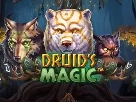Druid's Magic game thumbnail